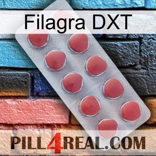 Filagra DXT 18.jpg